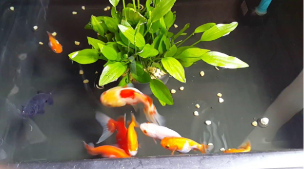 HÃ¬nh áº£nh cÃ³ liÃªn quan