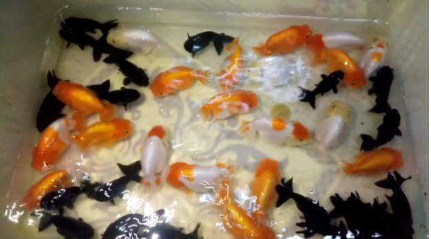 HÃ¬nh áº£nh cÃ³ liÃªn quan