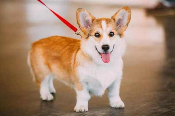 https://lh3.googleusercontent.com/SmZuM4BeB9Vtz4PLhyXQXl-ZIhSeaNv8gwWasIJs4lgowfQaf9K6alG6zHXKTlB0i5Dog4xCzvwwGlSKQVXDje9_b3okf_rCTNPBSpQBPuPCRVHu1L7JO3Z8vWL9ZM5_R0_ymal3yOaUOyUclA