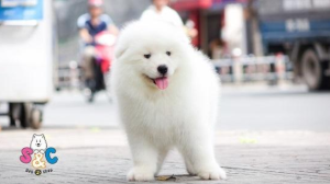 https://lh3.googleusercontent.com/KLY-8TikwQXsDLaUXIKuPNdbMH_hLnp8999dBgNLILgdRnY36yP1pvMhYbyNB8nZqiDttRThYyYUZmi1VKLM8yg8y7PcRdCtmgBfLInIaZKjWXXXpxU0KdbG-mFxwvxeeuYxcGEfPMcYz2DH8w