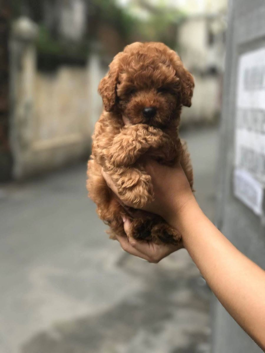 https://lh5.googleusercontent.com/BzJZti6J8sXDQcCx3foGpPZfiCZcc8NkgO44fxSP7XTsMuyxl5vhwYw06J85GKClAIjXfh-IzH_jo_guUpxtmwb3_il8G4Er-LeO8CpjJRt-eaT345Nr8xsb8Wk14mZA0gZPzkAKHTT4Hu1P7w