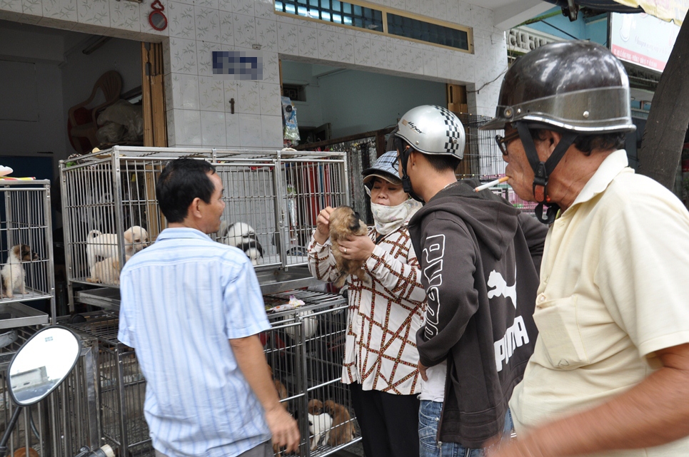 mua chó tại lê hồng phong