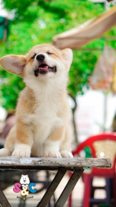 https://lh3.googleusercontent.com/DzY_Q_akjSpeu3XL3vvyNRRPb3itLPKKKjR1dB3r_IWG_Ii0owcJWSyZSWj5EIEOuUlNFO5psPZiAbSdxMGtvCwB3_go6aGKRaO5HmbMZnDXmmod6gq2-1FEk48qlHkOlq7Z4ECCiUU2Iq6WuA