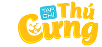tapchithucung